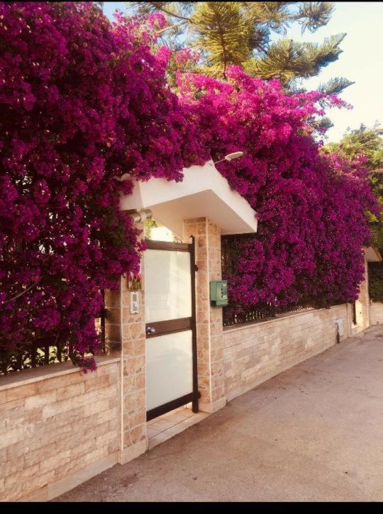 Tulipano Rosso Apartment Bari Exterior photo