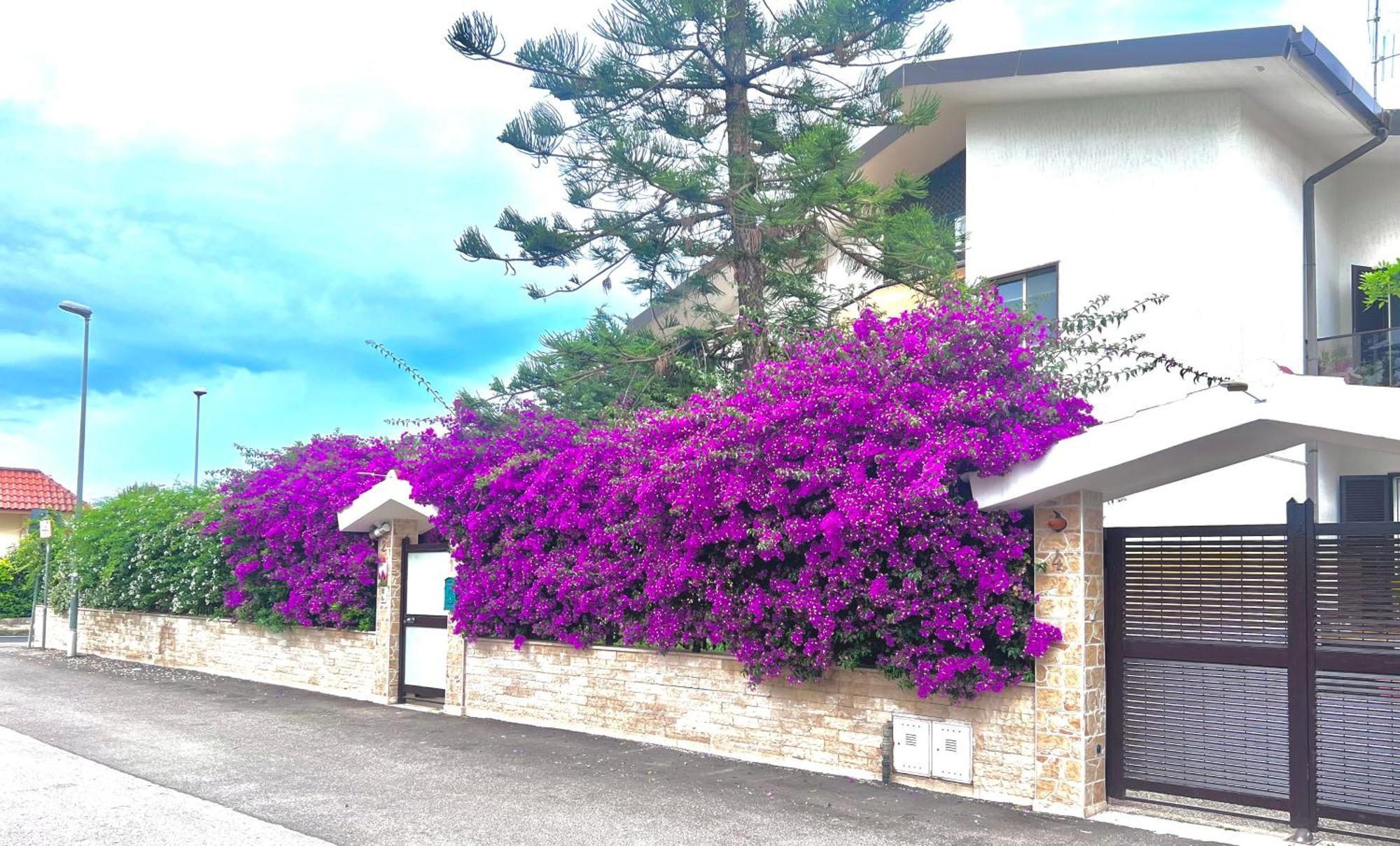 Tulipano Rosso Apartment Bari Exterior photo